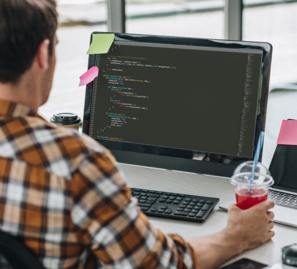 Outsource WordPress Development 30 perk
