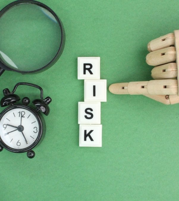 Wordpress Development Agency 22 risk
