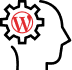 Wordpress Development Agency 24 technical