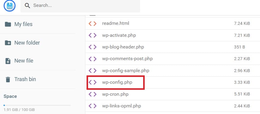 What are The Pros and Cons of Automatic WordPress Updates 3 wpupdates wp config