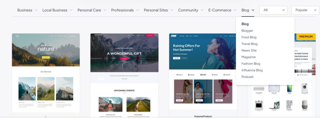 Custom WordPress Development vs. Pre-built Themes: Pros and Cons 7 wp themes astra